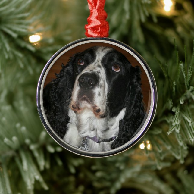 English Springer Spaniel Personalised Pet Photo Metal Ornament (Tree)