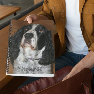 English Springer Spaniel Pet Photo Calendar Planner