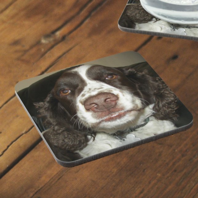 English Springer Spaniel Pet Photo Coaster (In Situ Angled)