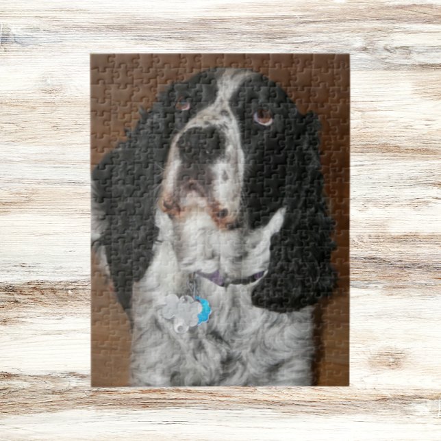 English Springer Spaniel Pet Photo Jigsaw Puzzle (In Situ)