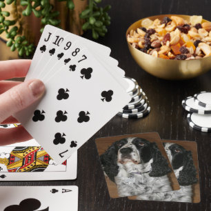 English Springer Spaniel Pet Photo Playing Cards