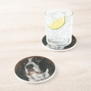 English Springer Spaniel Pet Photo Sandstone Coaster