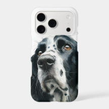 English springer spaniel portrait with ticking
