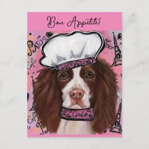 English Springer Spaniel    Postcard