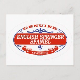 English Springer Spaniel Postcard