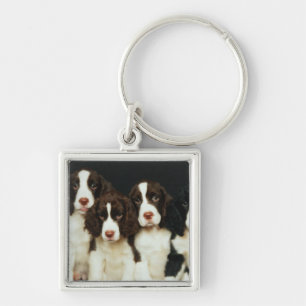 English Springer Spaniel Puppies (2) Key Ring