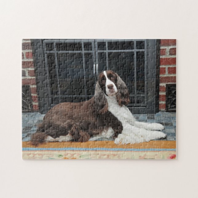 English Springer Spaniel Puzzle (Horizontal)