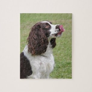 English Springer Spaniel Sitting Jigsaw Puzzle