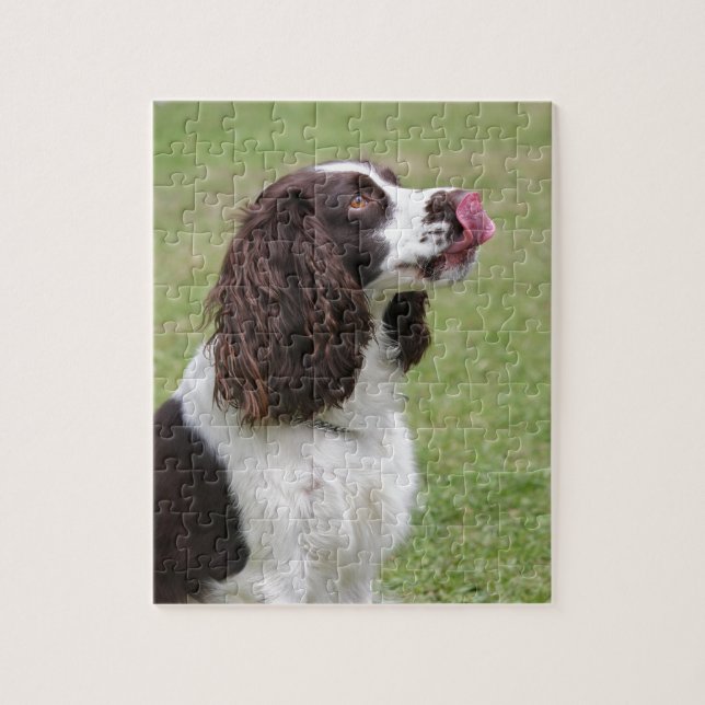 English Springer Spaniel Sitting Jigsaw Puzzle (Vertical)