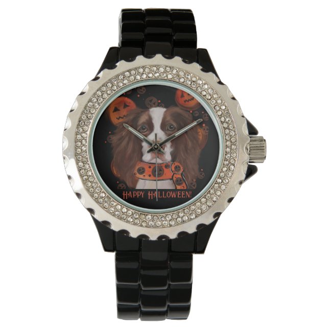English Springer Spaniel      Watch (Front)