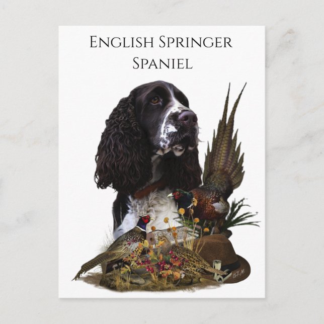 English Springer Spaniel with pheasant    Postcard (Front)