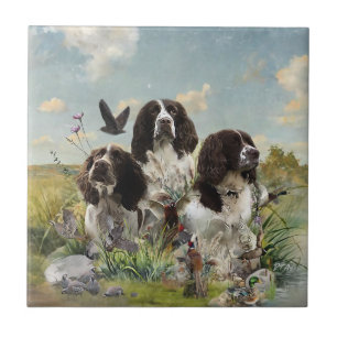 English Springer Spaniels ,Art Ceramic Tile