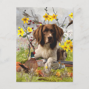 English Springer Spaniels ,Art Postcard