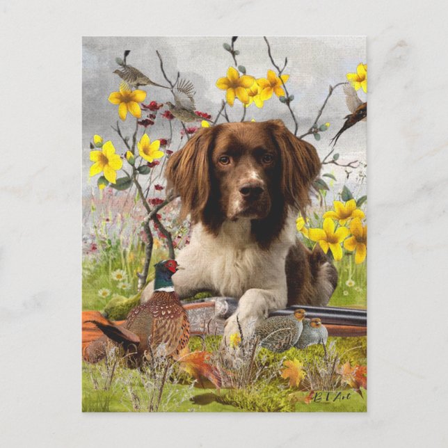 English Springer Spaniels ,Art Postcard (Front)