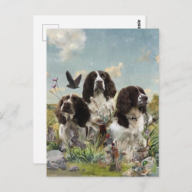 English Springer Spaniels ,Art Postcard (Front/Back)