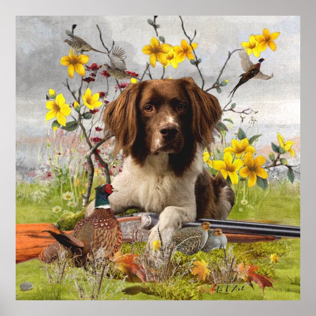 English Springer Spaniels ,Art Poster (Front)