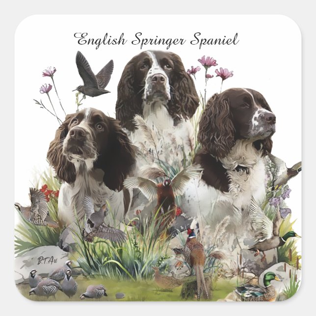 English Springer Spaniels ,Art Square Sticker (Front)
