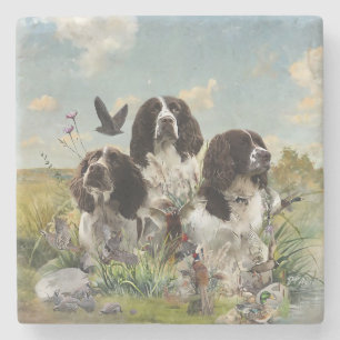 English Springer Spaniels ,Art Stone Coaster