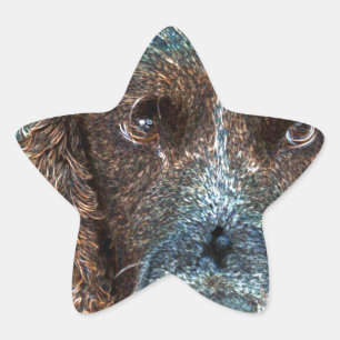 English Springer Star Sticker