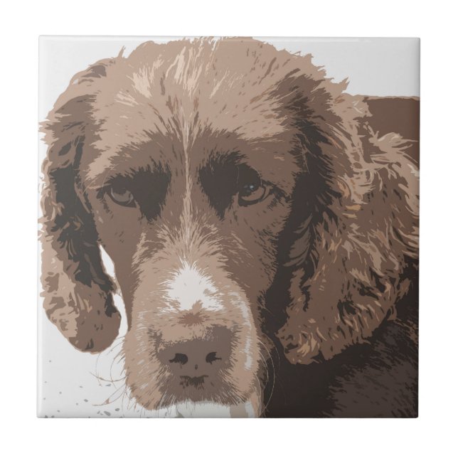 English Springer Tile (Front)