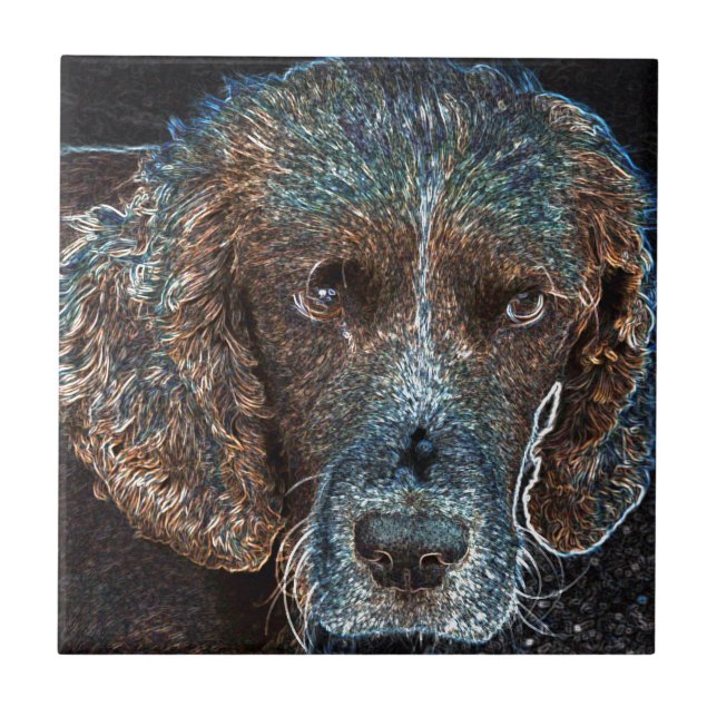English Springer Tile (Front)