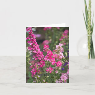English Summer Garden Thank You Card