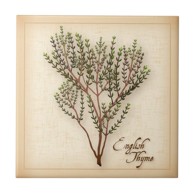 English Thyme Herb Ceramic Tile (Front)