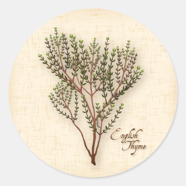 English Thyme Herb Stickers (Front)
