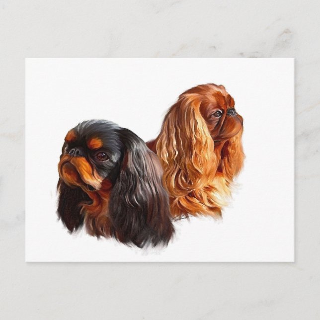 English Toy Spaniel Postcard (Front)