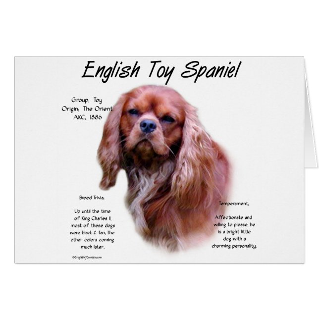 English Toy Spaniel (ruby) History Design (Front Horizontal)