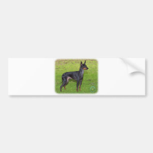 English Toy Terrier 9R087D-17 Bumper Sticker