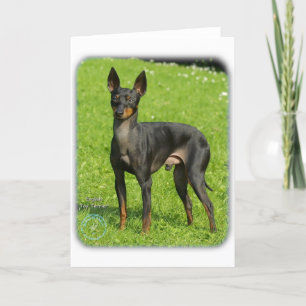English Toy Terrier 9R78D-77 Card