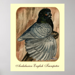 English Trumpeter: 1980 Andalusian Poster