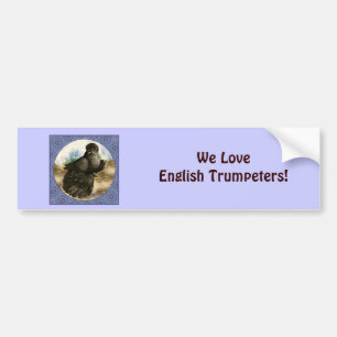 English Trumpeter Pigeon Blue Frame Bumper Sticker