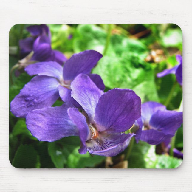 English Violet Mousepad (Front)