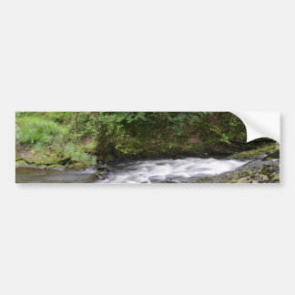 English Woodland Stream Bumper Sticker
