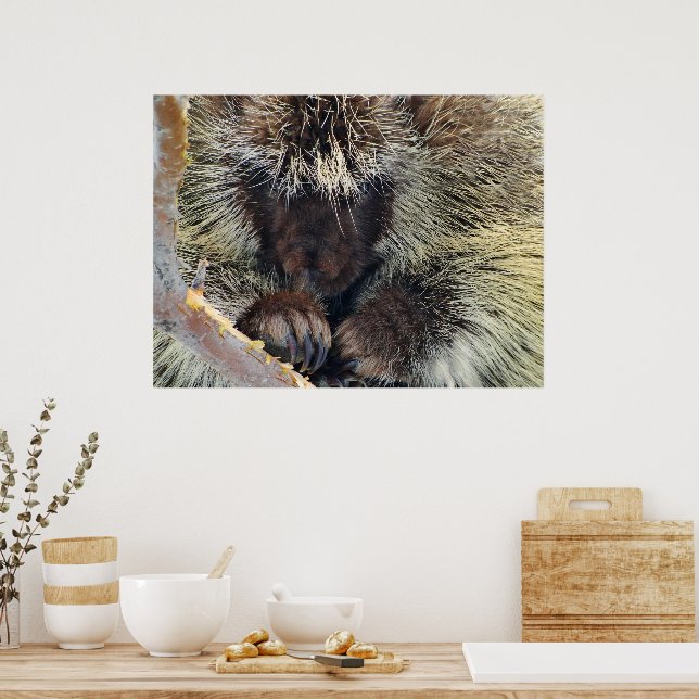 Enigma of Nature Poster (Kitchen)