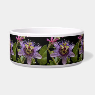 Enigmatic Beauty: the Purple Passion Flower