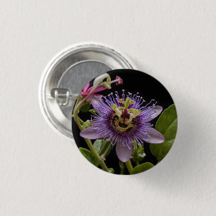 Enigmatic Beauty: the Purple Passion Flower 3 Cm Round Badge