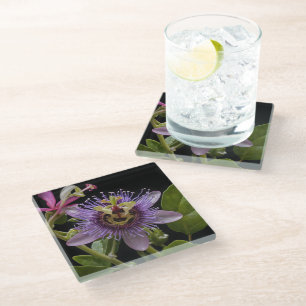 Enigmatic Beauty: the Purple Passion Flower Glass Coaster