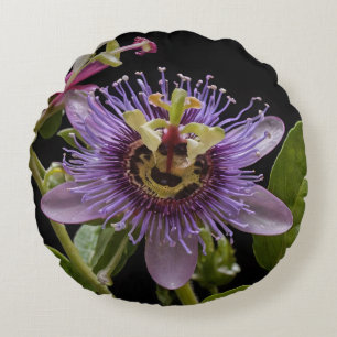 Enigmatic Beauty:  the Purple Passion Flower Round Cushion