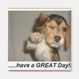 enjoy day magnet