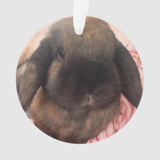 Enjoy having this little guy hanging on your tree. ornament