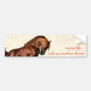 enjoy life...ride an arabian horse bumper sticker