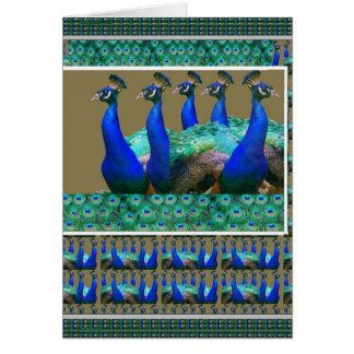 Enjoy: PEaCOCK n Feathers Art Graphics