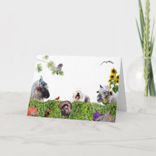  Enjoy the abundance of earth :HappyThanksgiving   Holiday Card