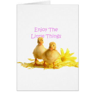 Enjoy The Little Things, Ducklings