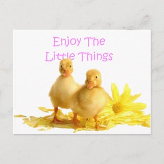 Enjoy The Little Things, Ducklings Postcard