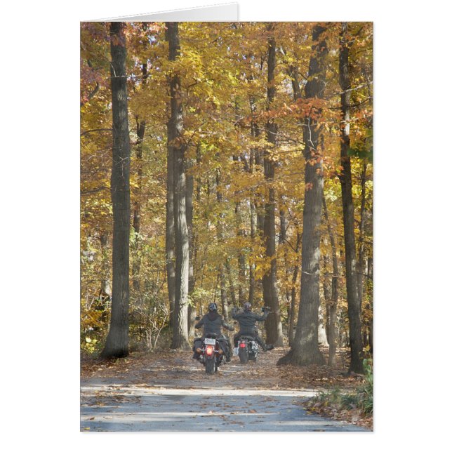 Enjoy the ride! (Front)