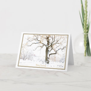 Enjoy the Simple Pleasures of the Season: Holiday